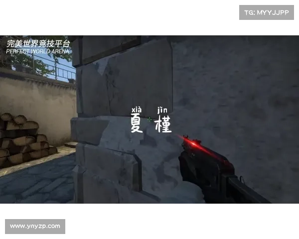 从愤怒到冷静:CSGO女玩家的情绪调控之路 从愤怒到冷静:CSGO女玩家的情绪调控之路