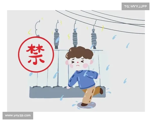 突发雷电天气安全防护与科学应对全方位实用指南 突发雷电天气安全防护与科学应对全方位实用指南