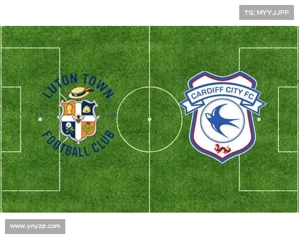 全面解析加的夫城足球俱乐部所参与联赛的历史沿革与竞争格局全貌