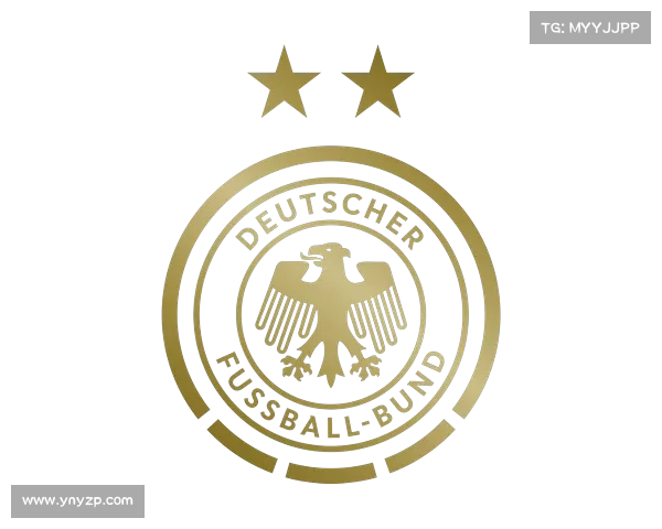 揭秘德国队全面换血背后的重生之路与足球复兴计划