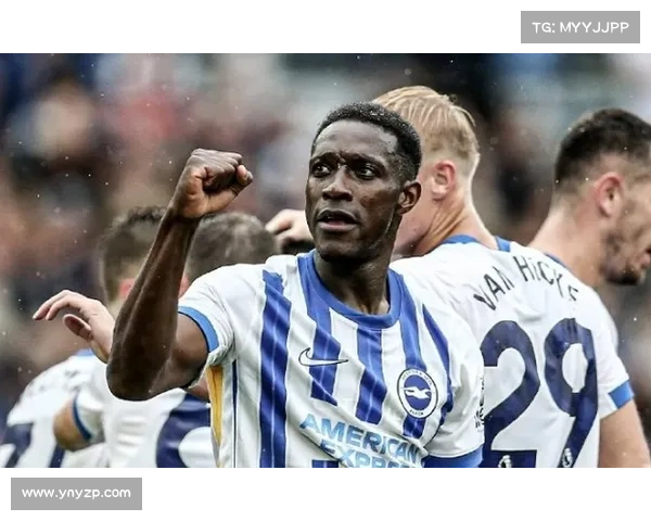 揭秘维尔贝克被称为黑贝的真正原因与背后故事分析